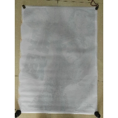 格里菲斯大学 Architecture Degree Certificate